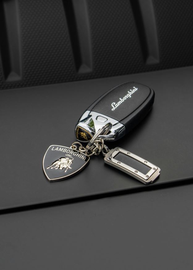 این ریموت برای باز و بسته کردن درها و فعالسازی سیستم امنیتی در خودروهای لوکس به کار میرود در خودروهای پیشرفته مانند پورشه و لامبورگینی، کلیدهای ریموت علاوه بر باز کردن درها، امکان روشن کردن موتور را بدون نیاز به کلید فیزیکی فراهم میکنند و در صورت گم شدن کلید اصلی، میتوان ریموت جدید را با استفاده از تجهیزات ویژه کلیدسازی تهیه کرد.